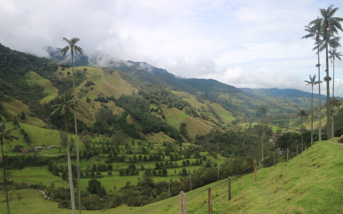 Cocora Valley, Salento (Colombia) 